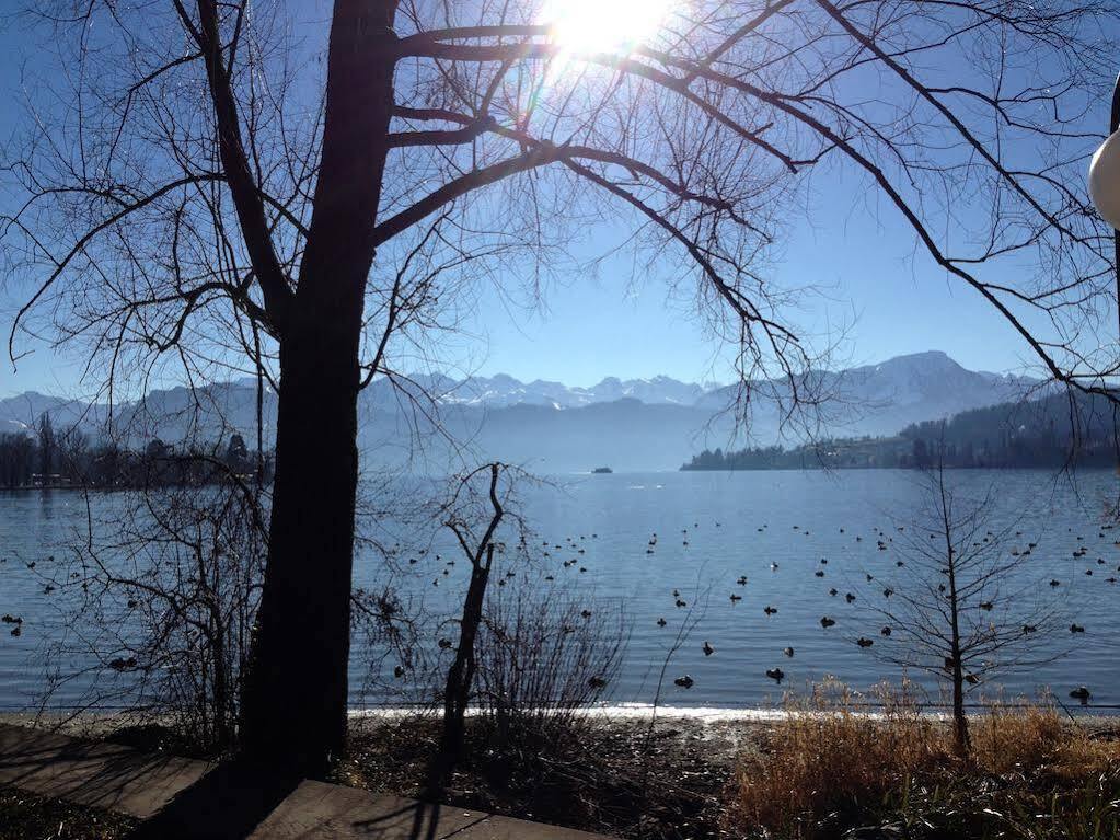 Villa Maria Lucerne Luaran gambar